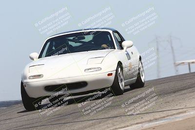 media/Sep-14-2024-Speed Ventures (Sat) [[a2bf28f496]]/Yellow Group/Session 2 (Grapevine)/